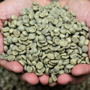 Green Coffee Beans